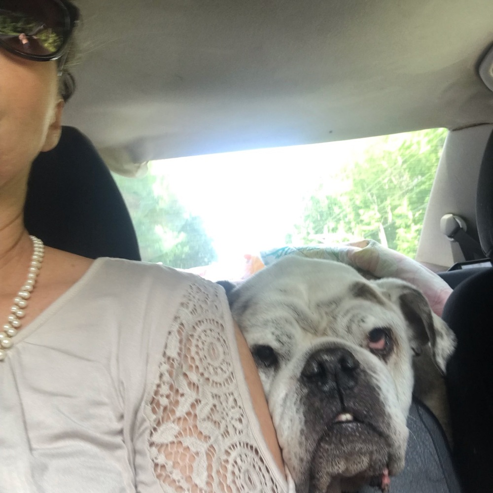 Meet your Posher, Shantell